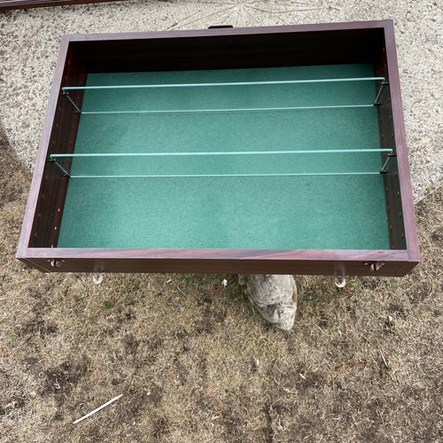 Collectors glass front - glass, shelf