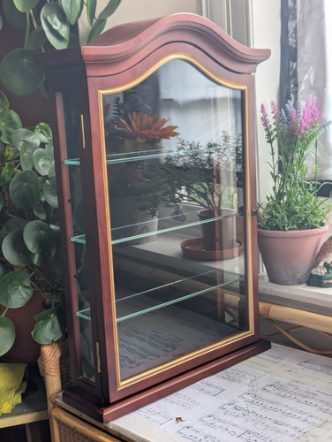 Wooden display cabinet - , whatnot